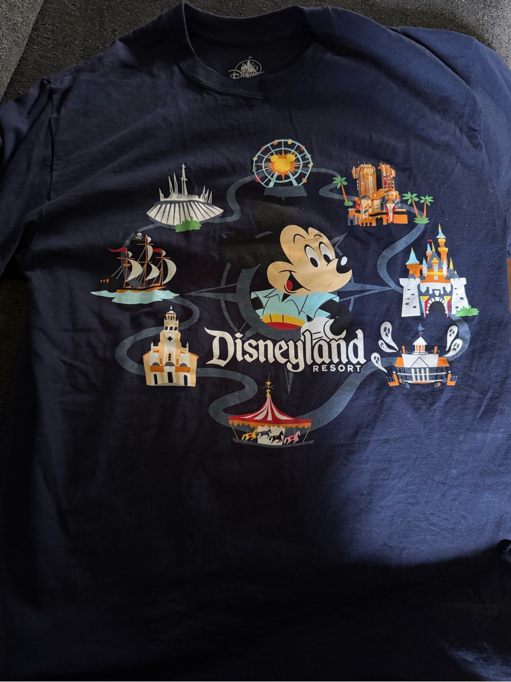 Disneyland Resort graphic Tee
